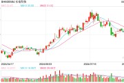 长电科技业绩遇喜背后：花45亿并购 华润入主 “封测一哥”在打什么牌？