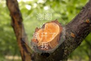 配资公司是什么