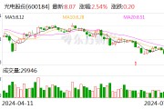 光电股份：2024年上半年净利同比预降80.15%