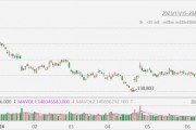 特斯拉涨幅扩大至超4%，获花旗上调目标价至274美元