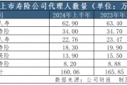 上市险企半年报观察③｜上半年“纳新”与“清虚”同步 但个险代理人的挑战远未结束