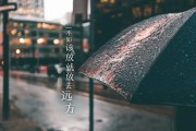 金溢科技（002869）：7月29日09时49分触及涨停板